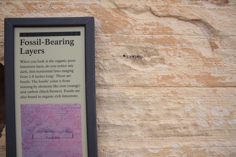 Fossil Butte National Monument